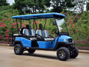 bintelli beyond 6 passenger lifted golf cart, beyond 6 passenger lsv