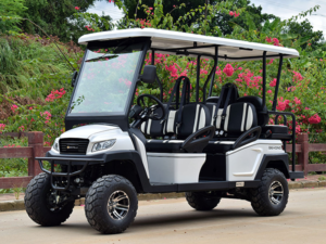 bintelli beyond 6 passenger lifted golf cart, beyond 6 passenger lsv